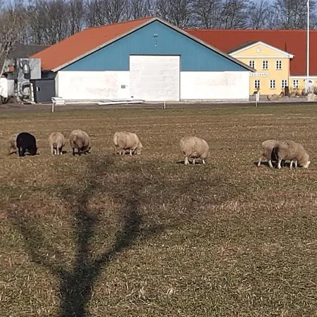 Agnes * Bække