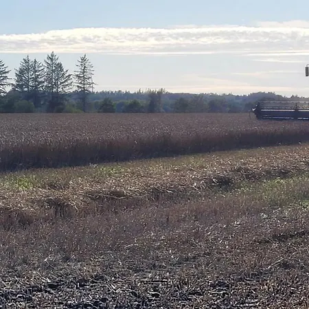 Agnes Πανσιόν Bække